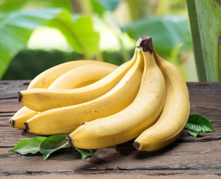Banana of the tropics