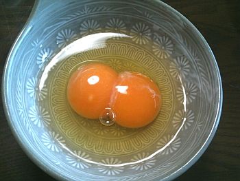 Double Yolked Eggs