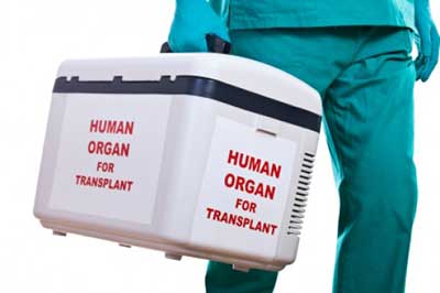 Human Organ Transplant