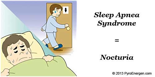 Sleep Apnea Syndrome can cause Nocturia