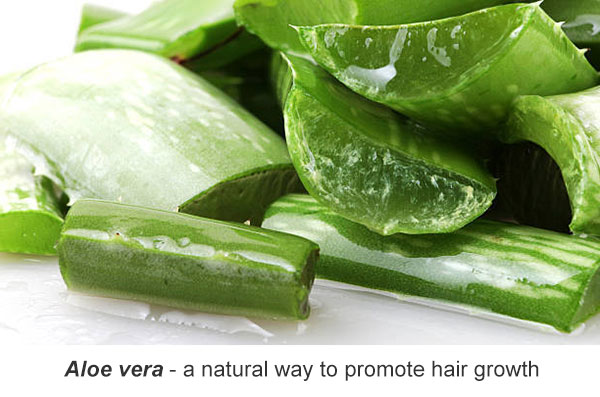 Aloe vera for promoting hair growth