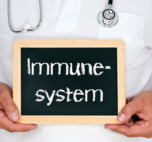 Immune System