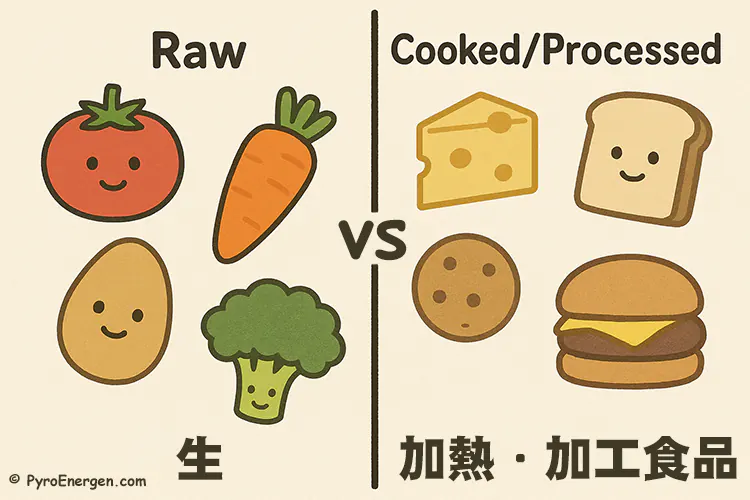 Raw vs. Cooked/Processed Foods