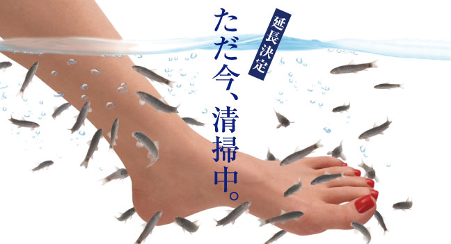 Doctor Fish