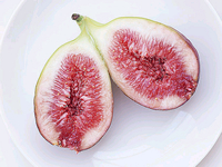 Fig