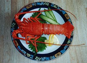 Lobster