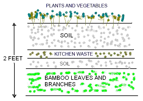 Bamboo as a Fertilizer