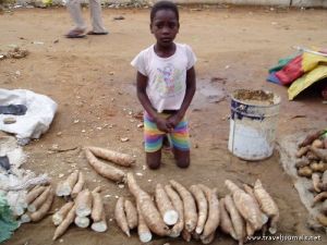 Cassava in Mozambique, Africa