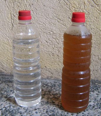 Moringa Water Treatment