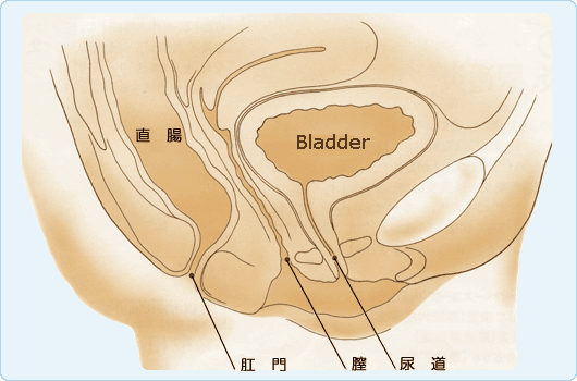 Bladder Inflammation