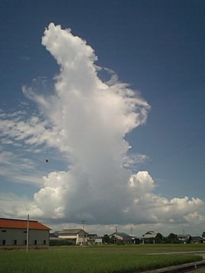 Cumulonimbus Clouds