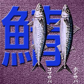 Mackerel