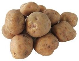 Potato