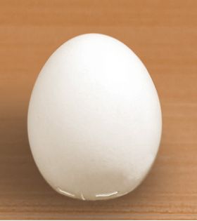 Egg of Columbus