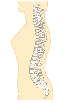 Spinal Fracture