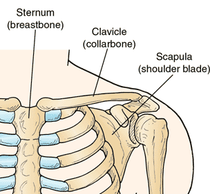 Collarbone Chart