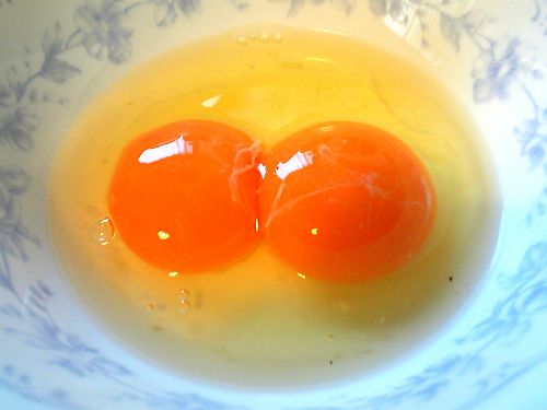 Double-Yolked Egg