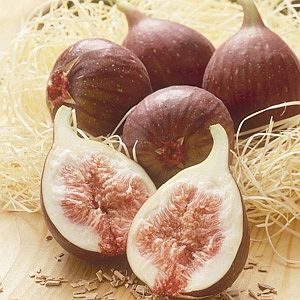 Fig Fruits