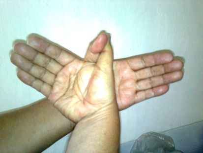 Bird figure using your hands