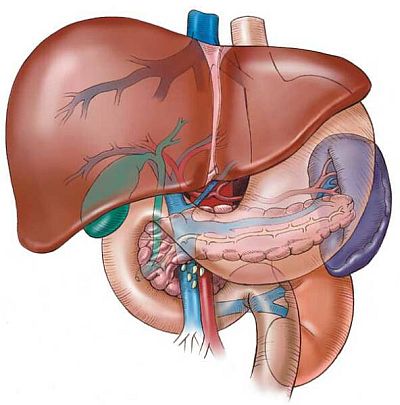 Liver Disease