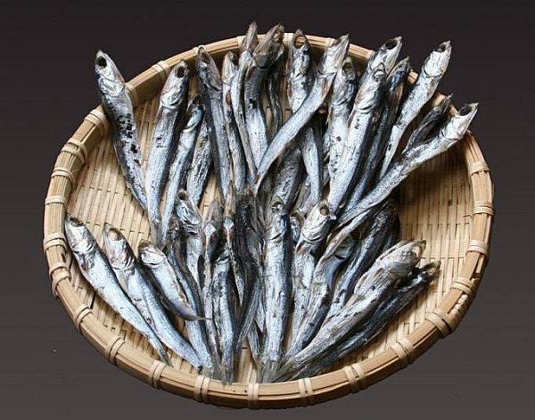 Sardines