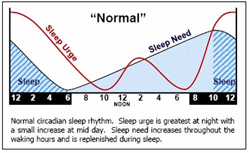 Circadian Rhythm of Sleep