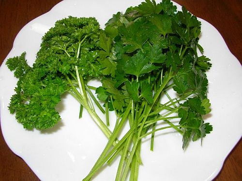 Parsley