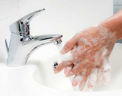 Wash Your Hands to Prevent Toxoplasmosis