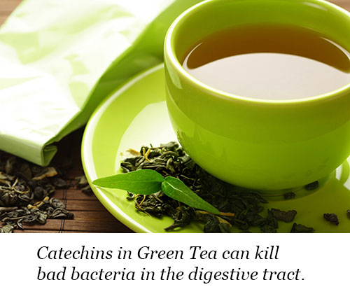 Catechins in green tea can kill bad bacteria in the intestines