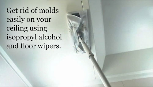 Clean your ceiling using isopropyl alcohol to get rid of molds