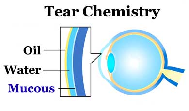Tear Chemistry