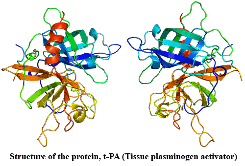 Tissue Plasminogen Activator (t-PA)