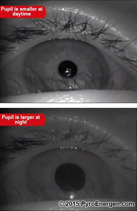 Pupils dilate or constrict