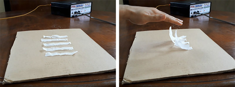 Tissue Paper Test